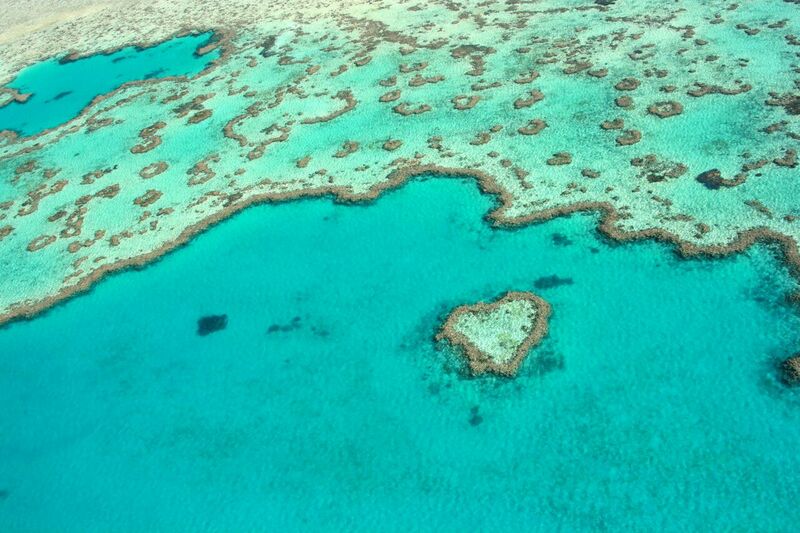 Heart Reef is one of the many iconic natural attractions in the Whitsundays.