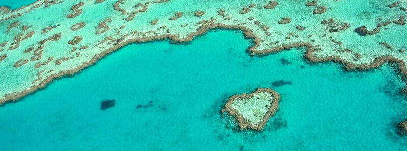 Heart Reef is one of the many iconic natural attractions in the Whitsundays.