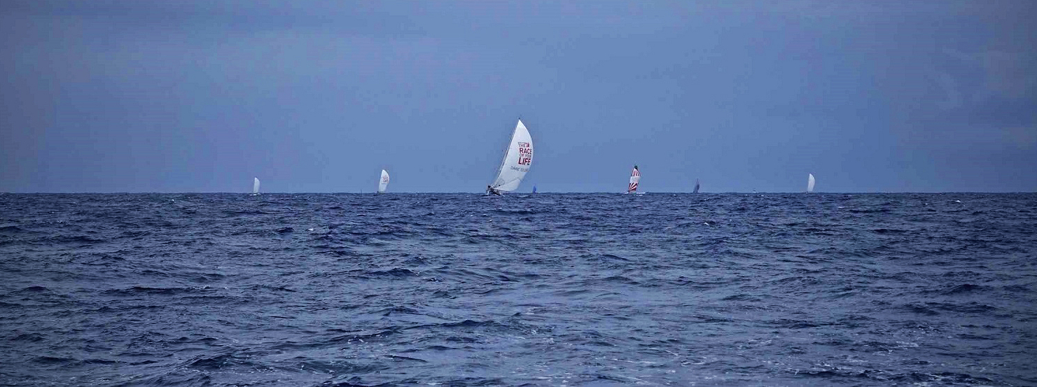Clipper Race Fleet competing in Sydney Hobart